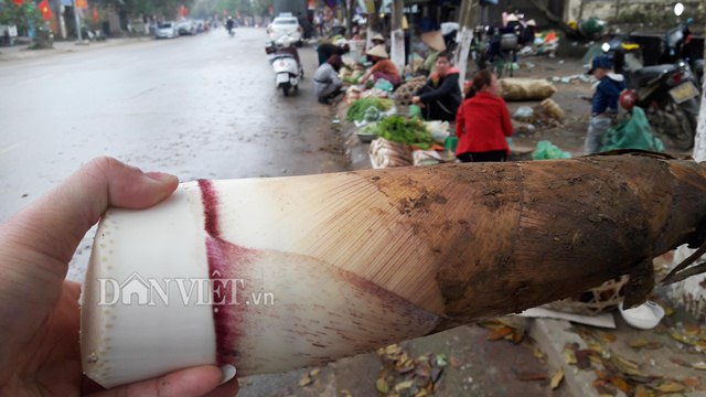 Người dân miền Tây xứ Nghệ trúng đậm lộc rừng đầu năm