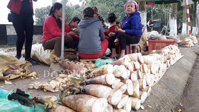 Người dân miền Tây xứ Nghệ trúng đậm lộc rừng đầu năm