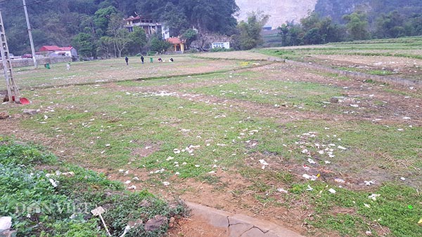 Lạng Sơn: Rác phủ trắng cánh đồng cỏ sau lễ hội Tà Lài