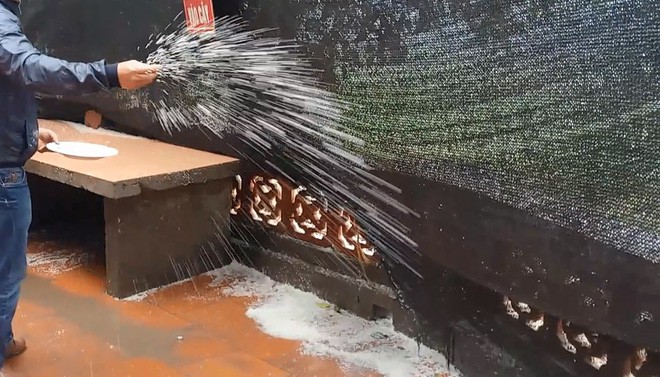 Hà Nội: Người dân vô tư rắc muối, gạo ngay trước biển cấm ở đền Và Hà Nội: Người dân vô tư rắc muối, gạo ngay trước biển cấm ở đền Và