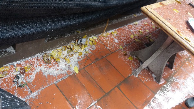 Hà Nội: Người dân vô tư rắc muối, gạo ngay trước biển cấm ở đền Và