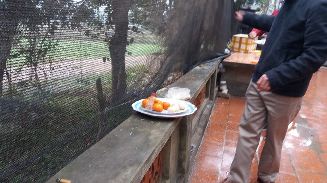 Hà Nội: Người dân vô tư rắc muối, gạo ngay trước biển cấm ở đền Và