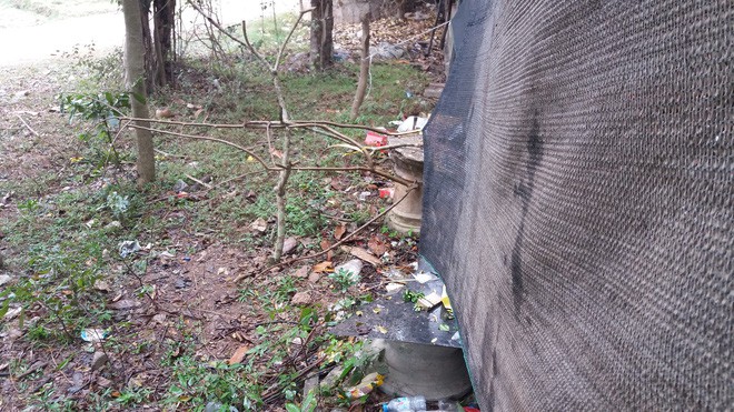 Hà Nội: Người dân vô tư rắc muối, gạo ngay trước biển cấm ở đền Và