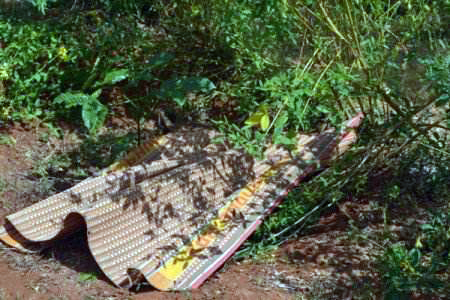 Người đàn ông không mặc quần áo chết bí ẩn trong rẫy cà phê