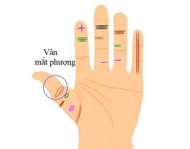 Có những đường chỉ tay này, bạn sẽ tiền nhiều tiêu cả đời không sợ hết Có những đường chỉ tay này, bạn sẽ tiền nhiều tiêu cả đời không sợ hết