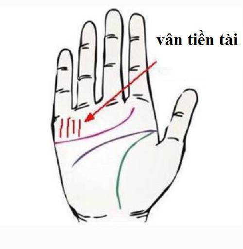 Có những đường chỉ tay này, bạn sẽ tiền nhiều tiêu cả đời không sợ hết Có những đường chỉ tay này, bạn sẽ tiền nhiều tiêu cả đời không sợ hết