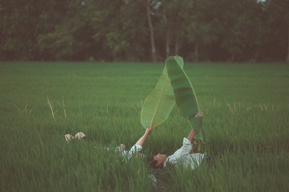 Vợ chồng miền Tây đội tóc giả, đi dép tổ ong chụp ảnh gây sốt