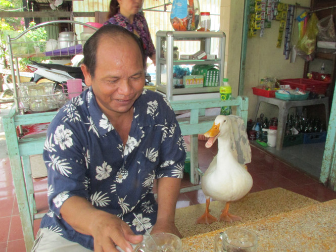 Lạ đời con vịt suốt ngày lẽo đẽo theo chủ không rời nửa bước