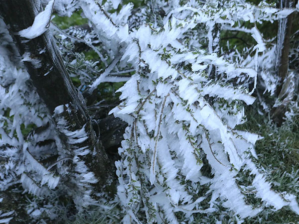 Dự báo thời tiết 4/2: Không khí lạnh tăng cường, nhiều nơi rét dưới 0 độ