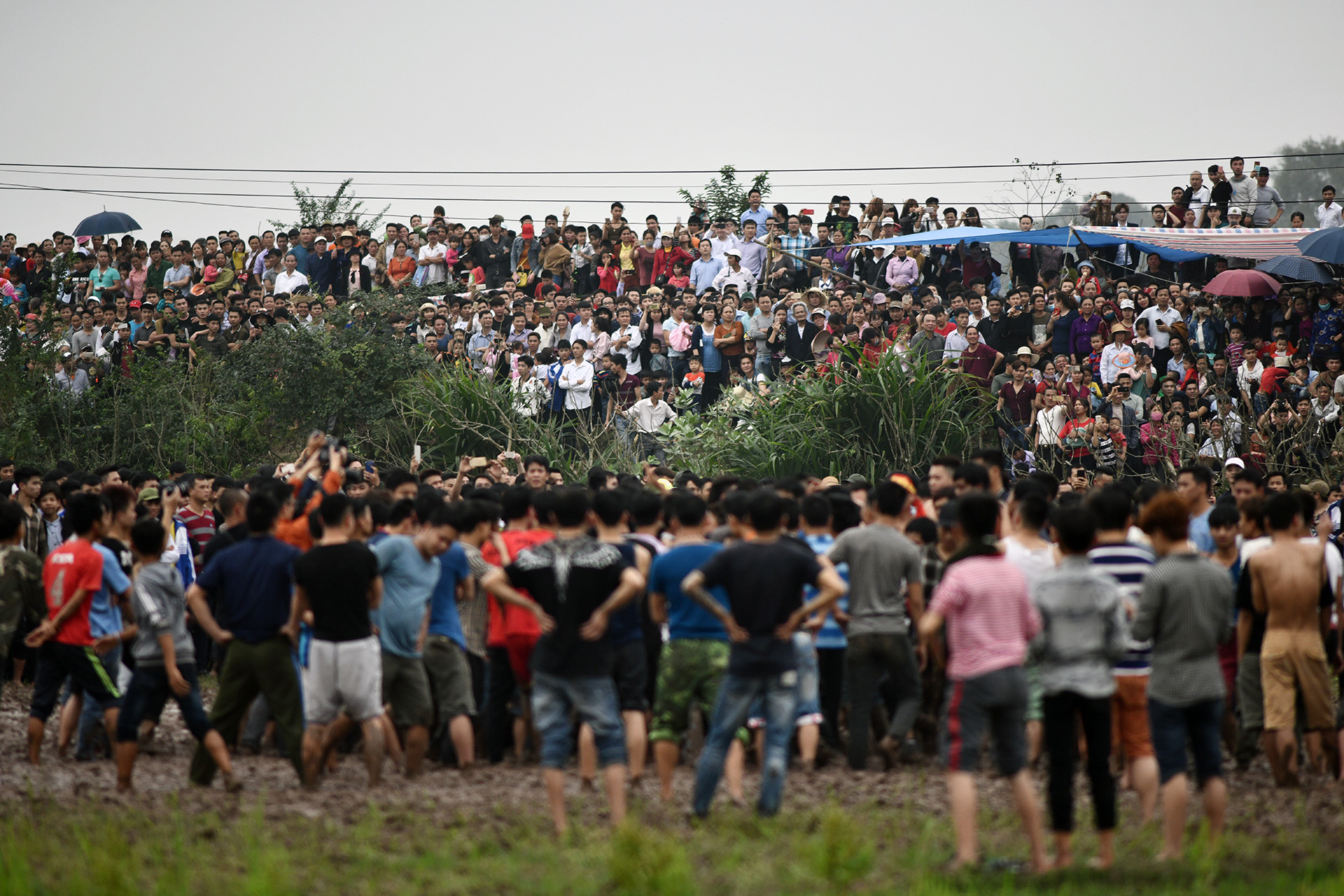 Phía sau các bức ảnh cuộc hỗn chiến cướp phết trên bùn lầy