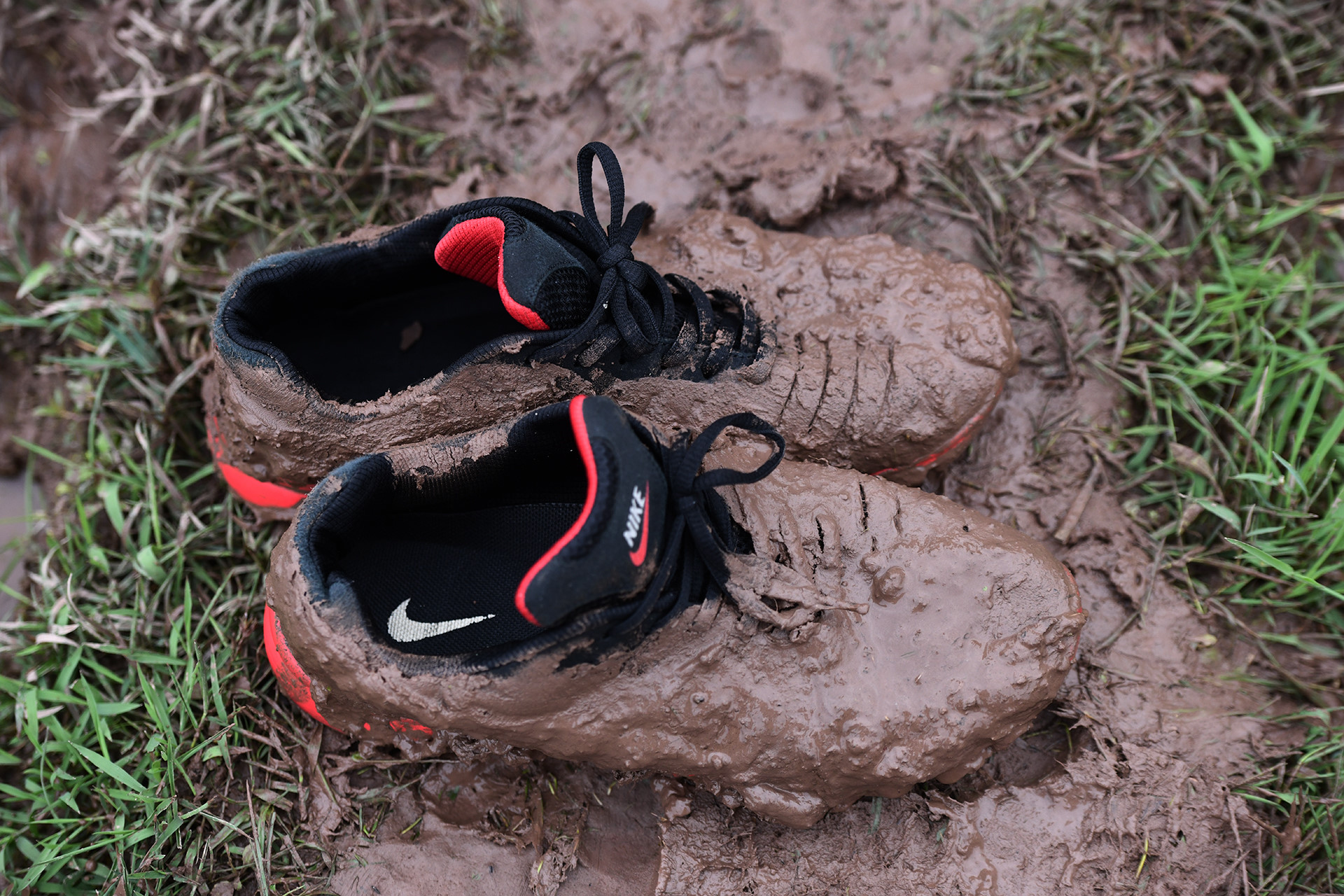 Phía sau các bức ảnh cuộc hỗn chiến cướp phết trên bùn lầy