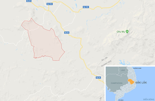 Lâm tặc bỏ lại 5 xe gỗ lậu khi bị phát hiện