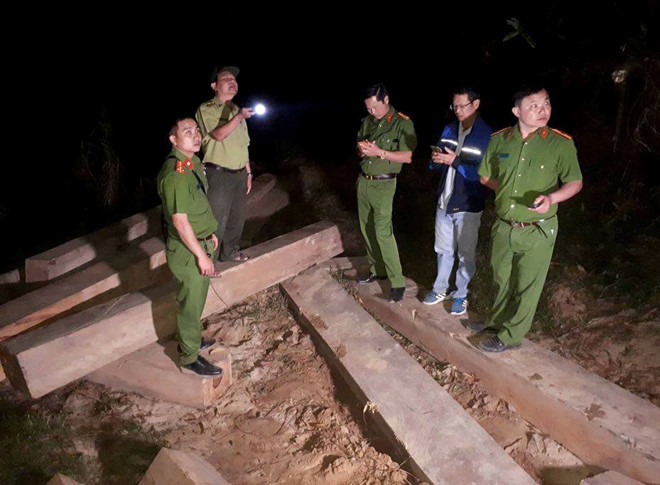 Lâm tặc bỏ lại 5 xe gỗ lậu khi bị phát hiện
