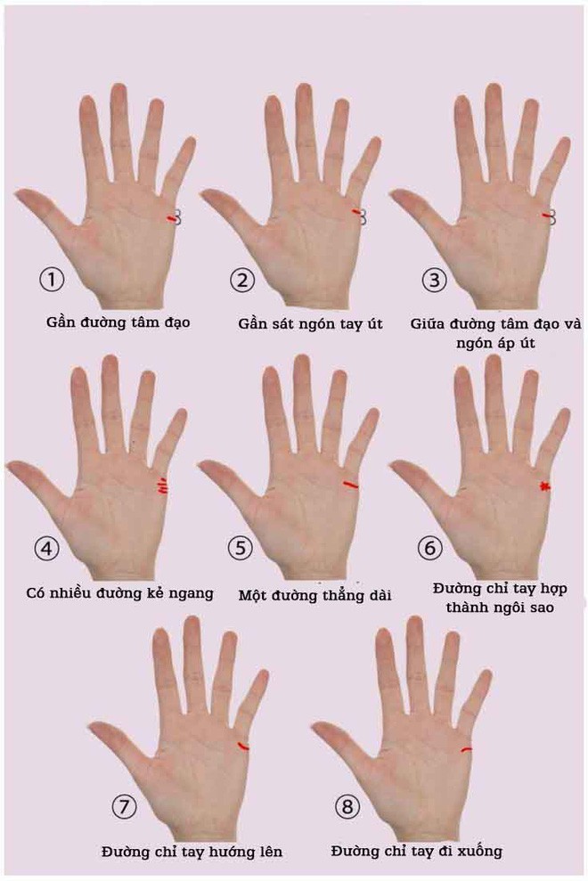 Từ đường chỉ tay hôn nhân dự đoán chuyện tình duyên tương lai của bạn Từ đường chỉ tay hôn nhân dự đoán chuyện tình duyên tương lai của bạn