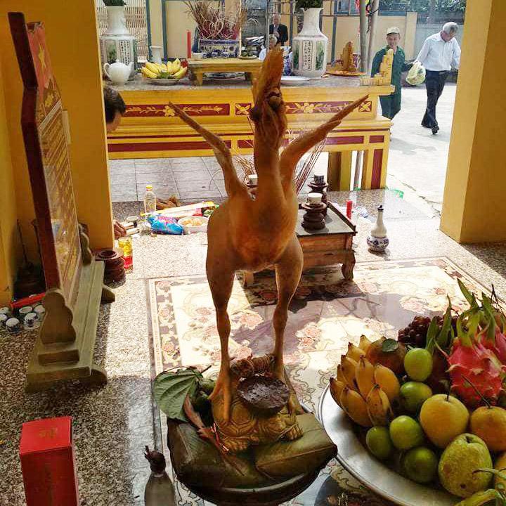 Sự thật bất ngờ về loạt ảnh phi đội gà bay cúng Rằm tháng Giêng gây sốt MXH