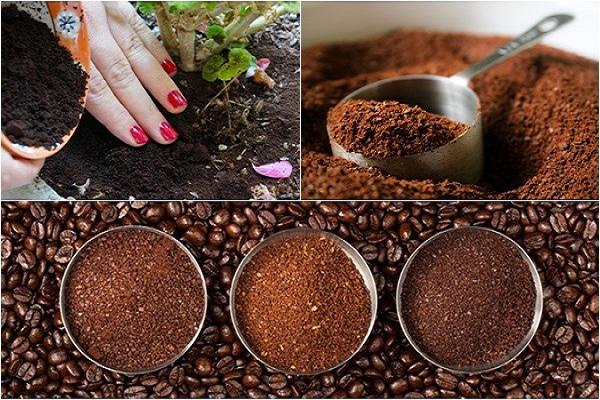 Uống cafe hàng ngày mà nhiều người không biết đến công dụng bất ngờ của bã cafe Uống cafe hàng ngày mà nhiều người không biết đến công dụng bất ngờ của bã cafe