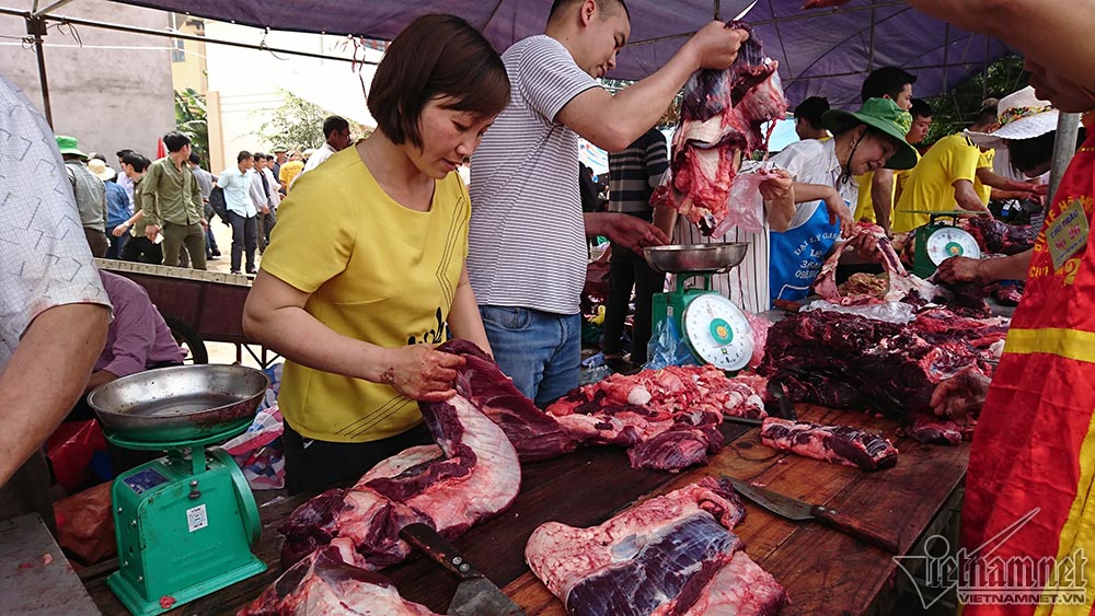Chen chúc mua thịt trâu chọi bị chích điện để lấy may Chen chúc mua thịt trâu chọi bị chích điện để lấy may