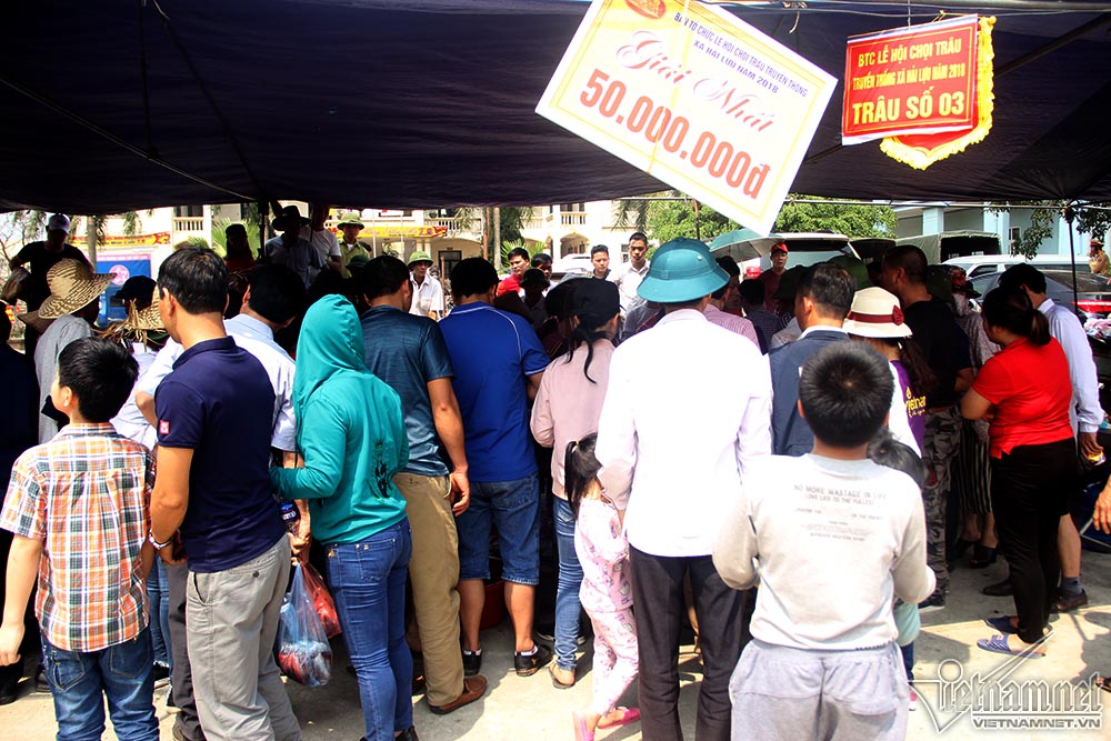 Chen chúc mua thịt trâu chọi bị chích điện để lấy may