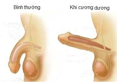 Cậu nhỏ và những bí mật ít người biết Cậu nhỏ và những bí mật ít người biết