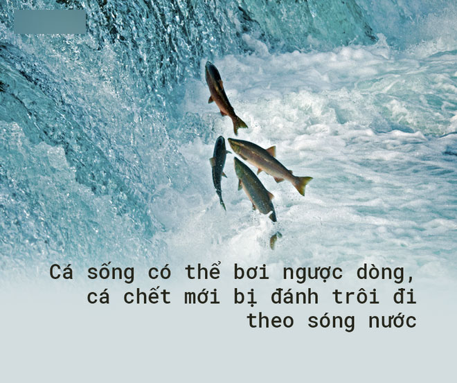 25 câu nói có thể thay đổi cuộc đời: Bây giờ đọc vẫn chưa muộn! 25 câu nói có thể thay đổi cuộc đời: Bây giờ đọc vẫn chưa muộn!