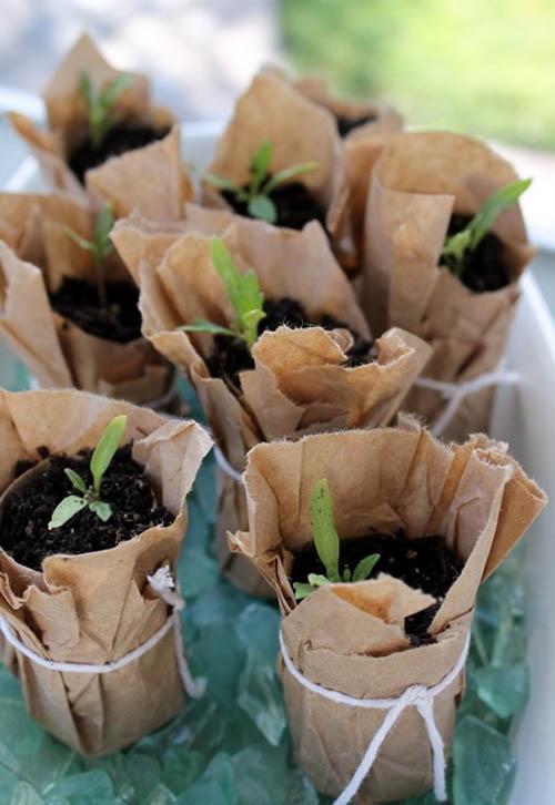 Không ngờ chỉ nhờ vài lõi giấy vệ sinh, nhà cửa càng gọn gàng mà lại thêm rực rỡ Không ngờ chỉ nhờ vài lõi giấy vệ sinh, nhà cửa càng gọn gàng mà lại thêm rực rỡ