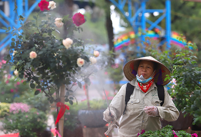 Chiem nguong ve dep muon mau cua le hoi hoa hong Bulgaria tai Ha Noi
