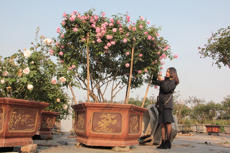 Quà 8/3: Hoa hồng khủng của cô gái 9X, giá trăm triệu đắt khách