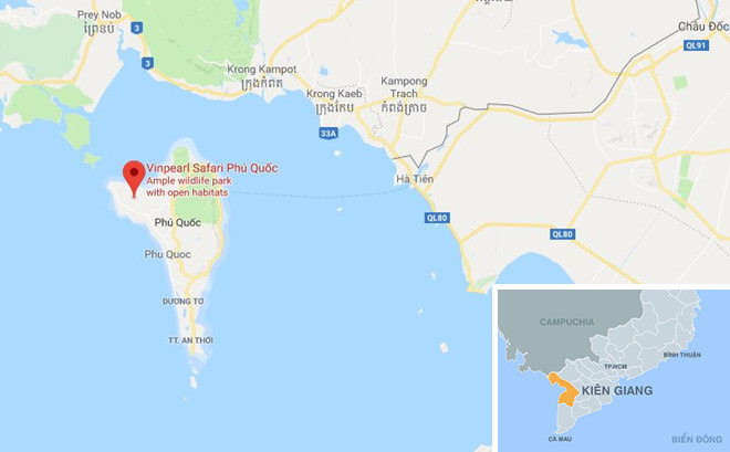 Phú Quốc bác thông tin hổ xổng chuồng tại Vinpearl Safari