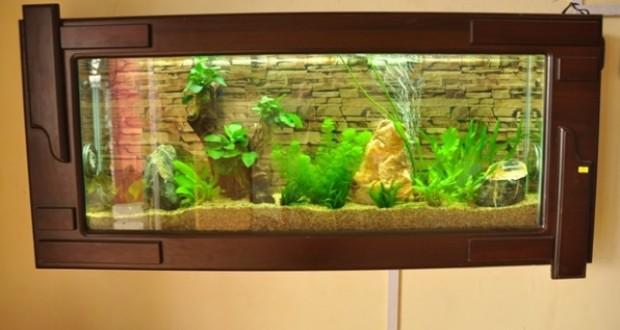 Làm kinh doanh, đặt những thứ này trong nhà, tài lộc, vận may ùn ùn kéo đến Làm kinh doanh, đặt những thứ này trong nhà, tài lộc, vận may ùn ùn kéo đến