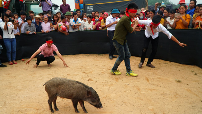 Ảnh, clip: Ôm bụng cười xem nam nữ bịt mắt bắt lợn rừng ở Bắc Giang