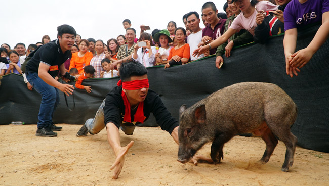Ảnh, clip: Ôm bụng cười xem nam nữ bịt mắt bắt lợn rừng ở Bắc Giang