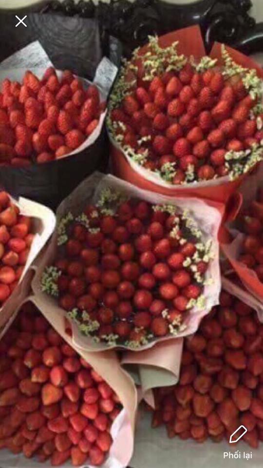 Mua hoa dâu tây ảnh minh họa đẹp long lanh qua mạng, cô gái muốn khóc cạn nước mắt khi nhận được sản phẩm