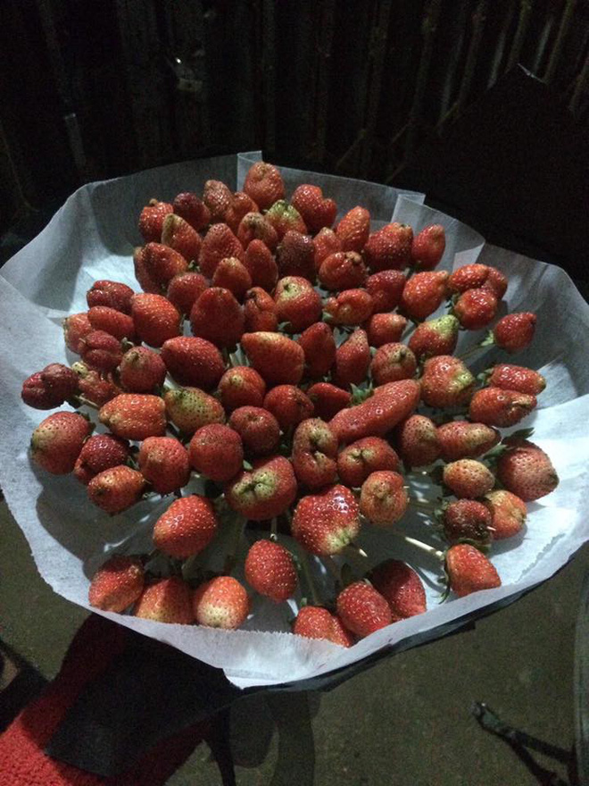 Mua hoa dâu tây ảnh minh họa đẹp long lanh qua mạng, cô gái muốn khóc cạn nước mắt khi nhận được sản phẩm