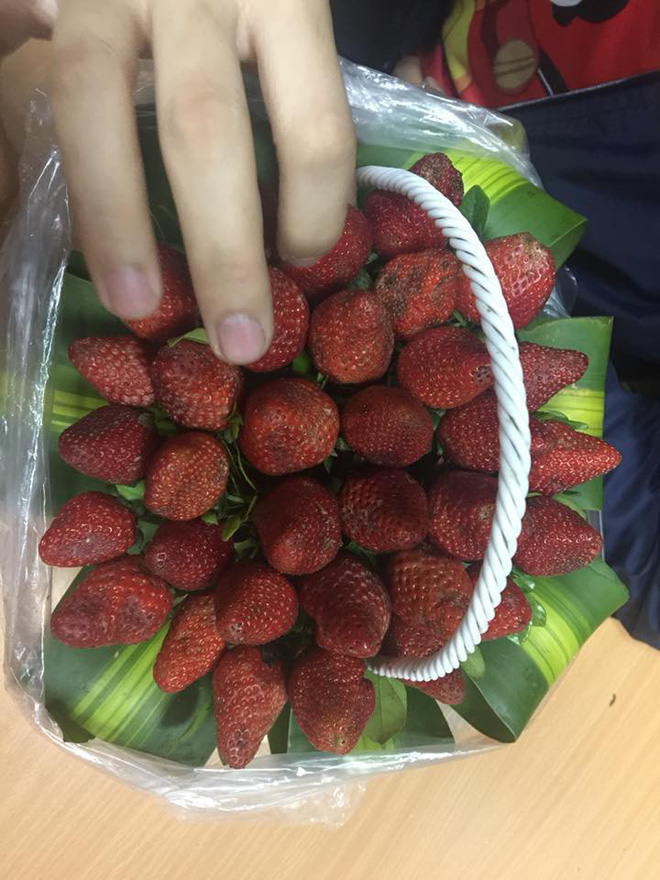 Mua hoa dâu tây ảnh minh họa đẹp long lanh qua mạng, cô gái muốn khóc cạn nước mắt khi nhận được sản phẩm