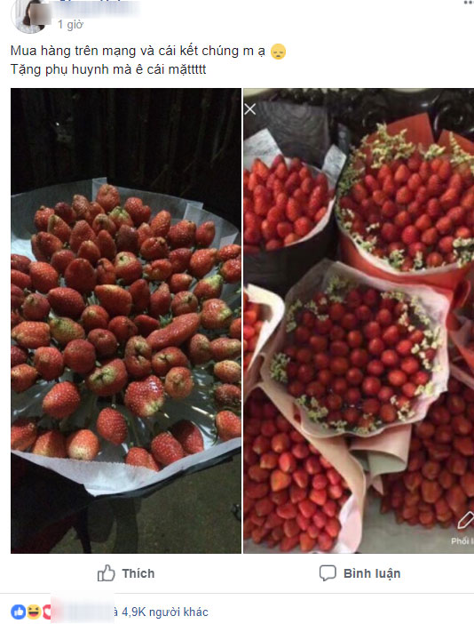 Mua hoa dâu tây ảnh minh họa đẹp long lanh qua mạng, cô gái muốn khóc cạn nước mắt khi nhận được sản phẩm