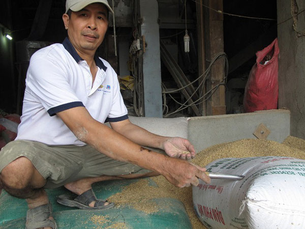 Tình tiết bất ngờ vụ nhặt được 3 cây vàng trong bao lúa