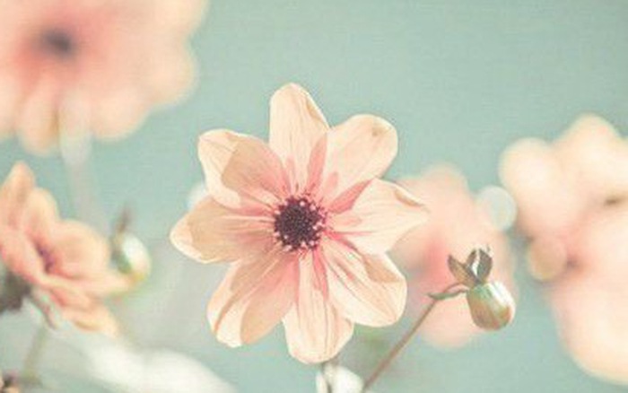 Chủ nhật của bạn (11/3): Sư Tử dễ bị xao nhãng Chủ nhật của bạn (11/3): Sư Tử dễ bị xao nhãng