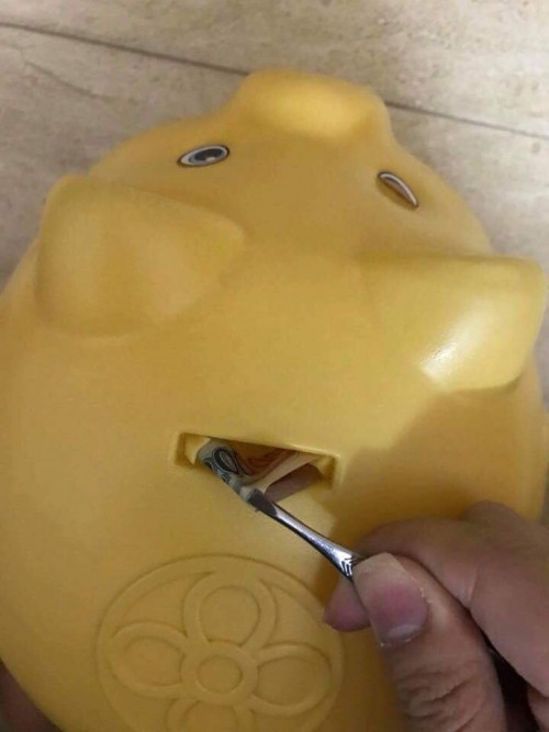 Kỷ niệm ‘tuổi thơ dữ dội’: Một tay ra sức vỗ béo heo đất, tay còn lại dùng nhíp rút ruột