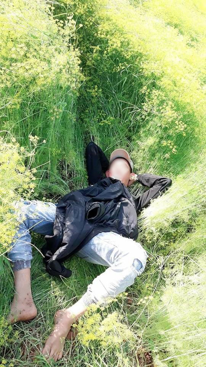 Cánh đồng hoa thì là ở Ninh Thuận vừa mở cửa 4 ngày đã vội vàng đóng cửa do bị khách tham quan giẫm đạp Cánh đồng hoa thì là ở Ninh Thuận vừa mở cửa 4 ngày đã vội vàng đóng cửa do bị khách tham quan giẫm đạp