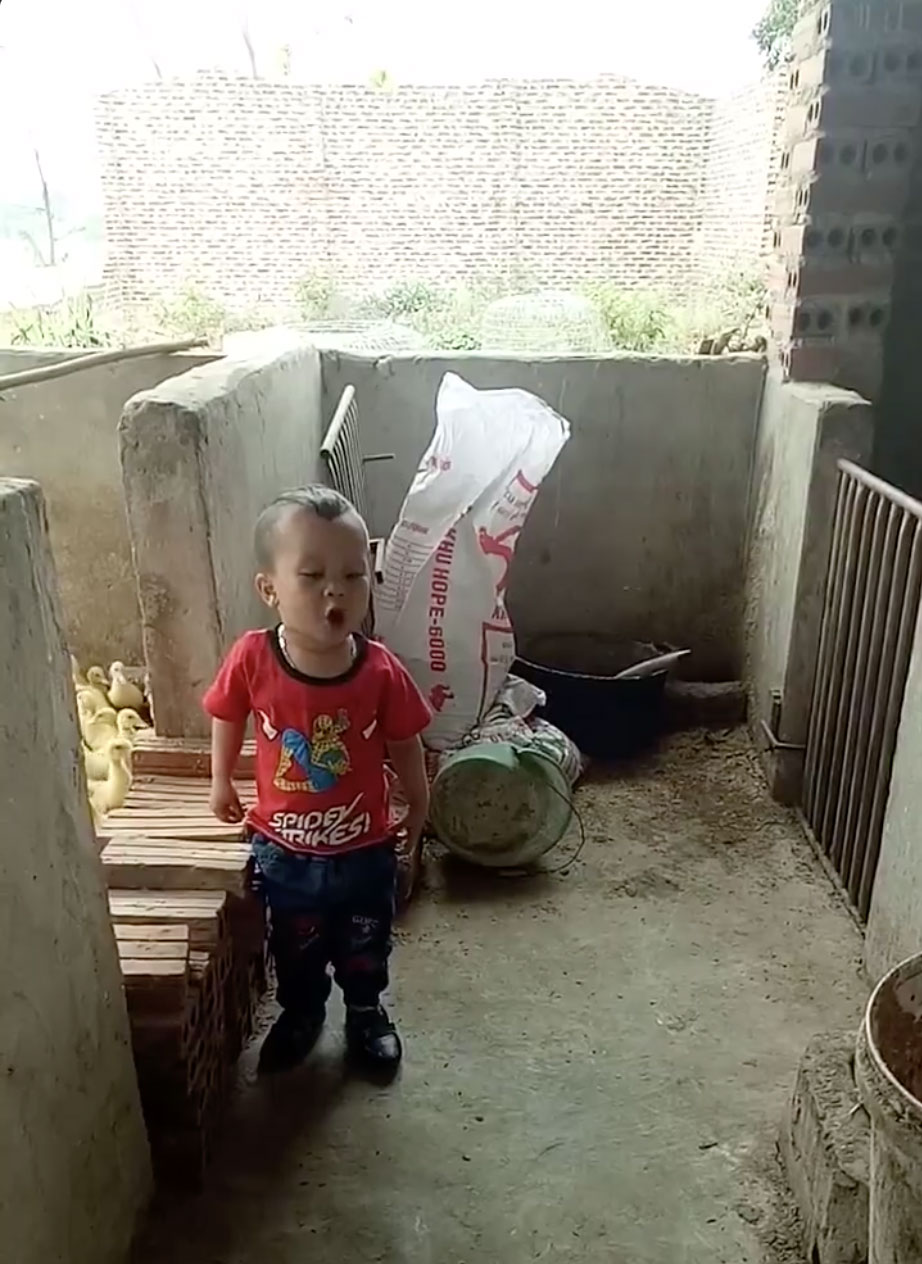 Clip: Bé 3 tuổi đứng dõng dạc cãi nhau với chó khiến dân mạng share vỡ cả news feed