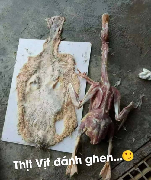 Xưa chọn vợ phải đảm, nay chỉ cần biết úp mì tôm là tốt lắm rồi!