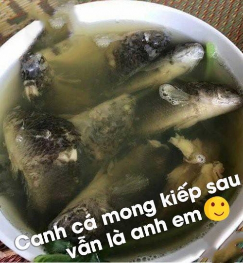 Xưa chọn vợ phải đảm, nay chỉ cần biết úp mì tôm là tốt lắm rồi!