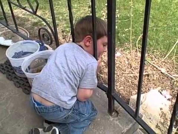 Chỉ 1 phút chui nhầm đầu vào lồng nhốt gà, bé trai khóc nức nở vì không thể thoát ra