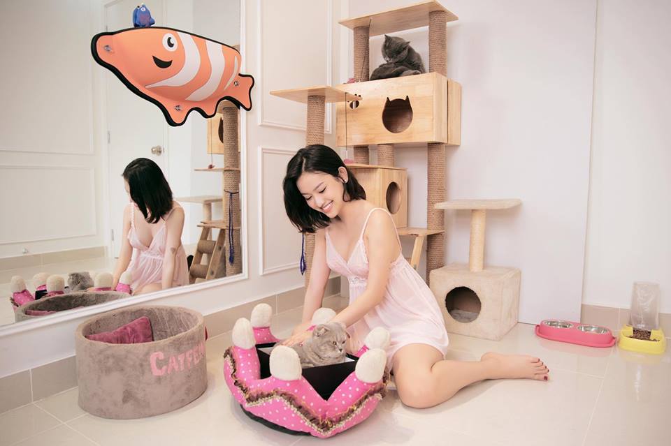 Căn hộ bạc tỷ của Thúy Vi được người tình đại gia tặng 100% có gì? Căn hộ bạc tỷ của Thúy Vi được người tình đại gia tặng 100% có gì?