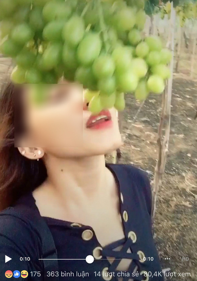 Hai cô gái phượt thủ từng đi Sài Gòn - Hà Nội trong vòng 40 tiếng lại gây tranh cãi khi tố chủ vườn nho chặt chém?