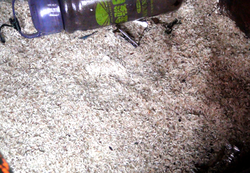 Tàu không người có chữ Trung Quốc trôi dạt trên biển Bạc Liêu