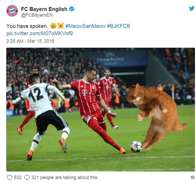Trận đấu của Bayern bị gián đoạn vì một chú mèo