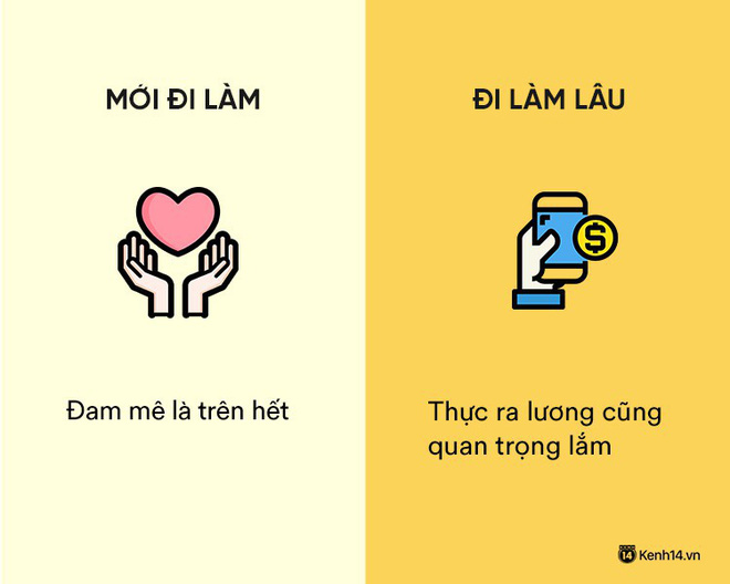 Sự khác nhau phũ phàng giữa hồi mới đi làm và khi đã đi làm lâu năm Sự khác nhau phũ phàng giữa hồi mới đi làm và khi đã đi làm lâu năm