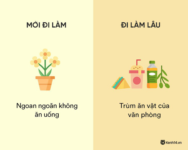 Sự khác nhau phũ phàng giữa hồi mới đi làm và khi đã đi làm lâu năm Sự khác nhau phũ phàng giữa hồi mới đi làm và khi đã đi làm lâu năm