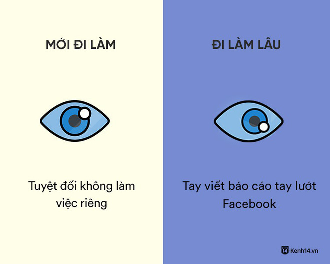 Sự khác nhau phũ phàng giữa hồi mới đi làm và khi đã đi làm lâu năm Sự khác nhau phũ phàng giữa hồi mới đi làm và khi đã đi làm lâu năm